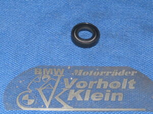 Simmerring Druckstange